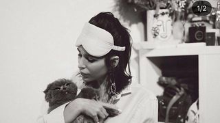 animal de companie Deea Codrea