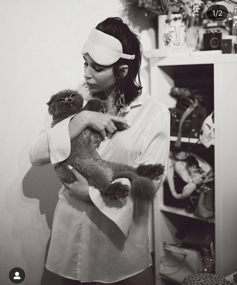 animal de companie Deea Codrea