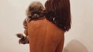 animal de companie Deea Codrea