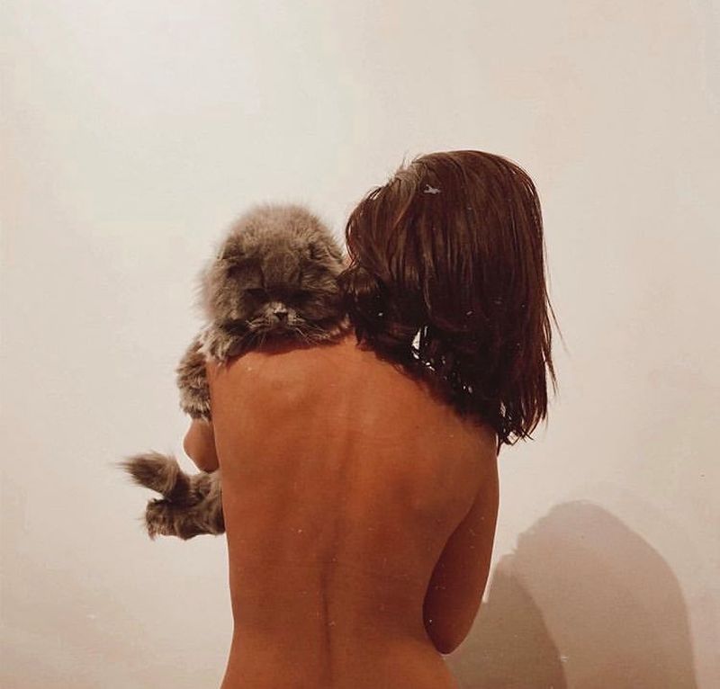 animal de companie Deea Codrea