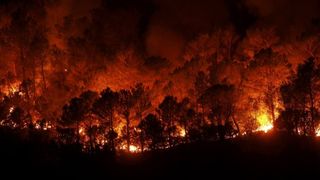 Incendiu de pădure &icirc;n Andaluzia