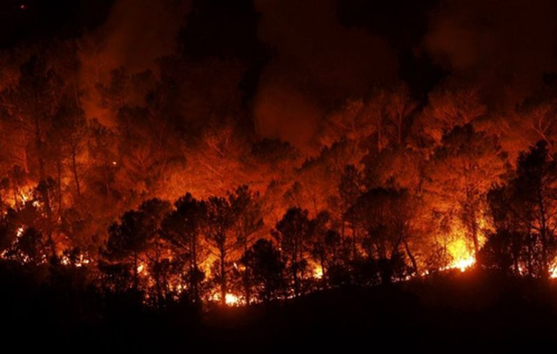 Incendiu de pădure în Andaluzia