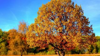 meteo luna septembrie