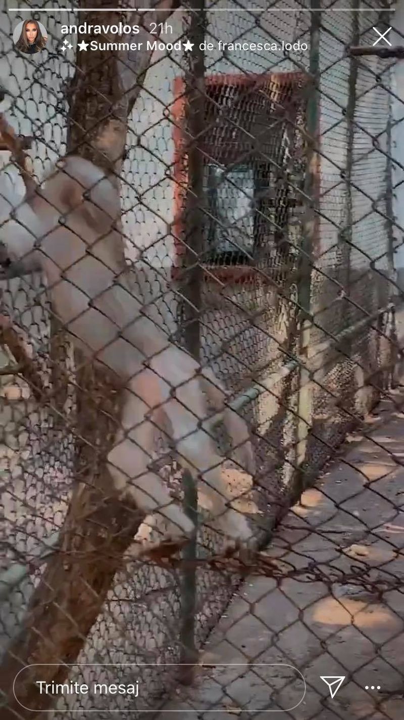 bogdan mocanu și andra volos în vacanță