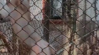 bogdan mocanu și andra volos în vacanță