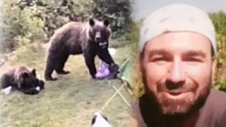 VIDEO - Atacați de urși în cort