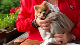 Cătălin Botezatu iubește nebunește! Cine i-a schimbat complet viața vedetei Kanal D