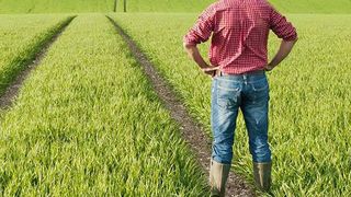 Tinerii pot primi terenuri agricole de la stat. Guvernul a adoptat proiectul de OUG