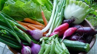 Un aliment banal poate ucide coronavirusul. Descoperire bombă a medicilor spanioli și italieni