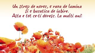 Mesaje de Sf Maria 2020. Felicitări de Sf Maria 2020. Urări de Sf Maria 2020. La mulţi ani de Sf Maria