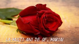 Mesaje de Sf Maria 2020. Felicitări de Sf Maria 2020. Urări de Sf Maria 2020. La mulţi ani de Sf Maria