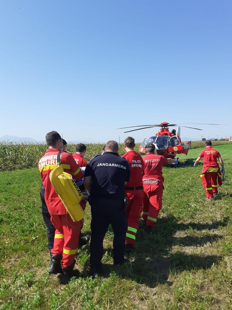 Braşov: Bărbat grav rănit după ce a fost atacat de urs