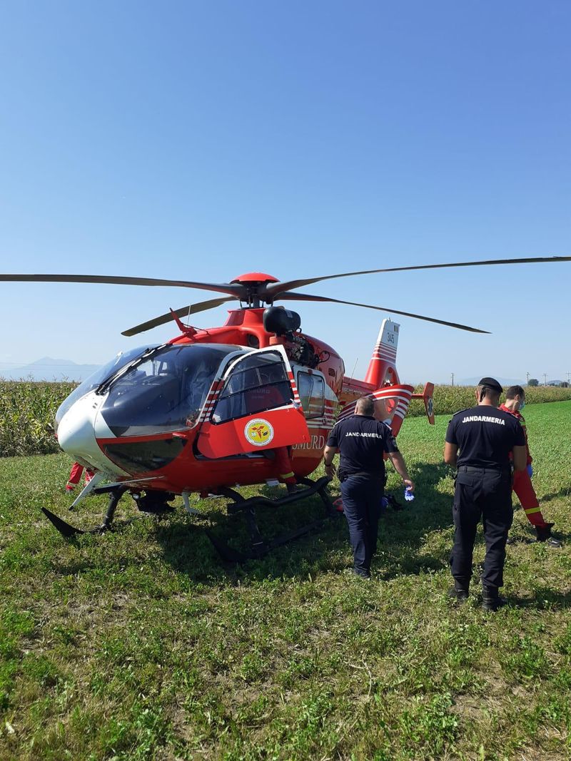 Braşov: Bărbat grav rănit după ce a fost atacat de urs