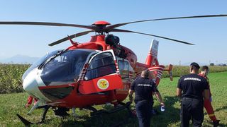 Braşov: Bărbat grav rănit după ce a fost atacat de urs