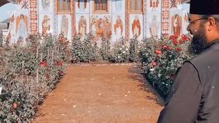 bogdan mocanu de la puterea dragostei și refugiul