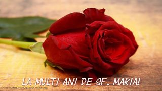 Mesaje de Sf Maria 2020. Urări de Sf Maria 2020. Felicitări de Sf Maria 2020. La mulţi ani de Sf Maria! 