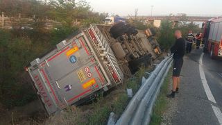 Un TIR cu 200 de porci, răsturnat pe autostrada A1 (VIDEO)