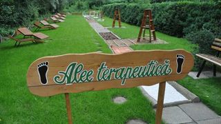 VIDEO - Grădină senzorială pentru copii. Micuții pot descoperi lumea cu ajutorul grădinii senzoriale