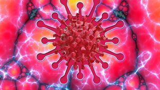 nou focar de coronavirus