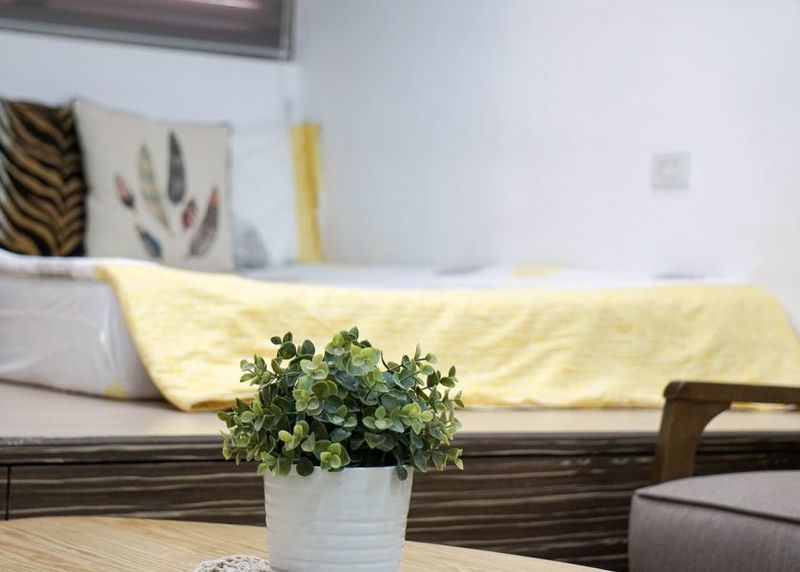 plante de apartament în București