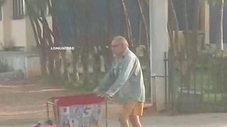 c&acirc;ine paralizat plimbat 