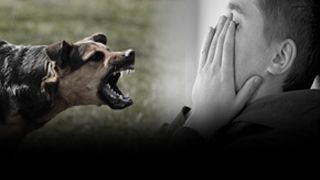 VIDEO - Adolescent sfîșiat de câini. Animalele, fără stăpân