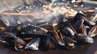 VIDEO - Midiile românești, liber la cules. Pescarii: E o veste bună!