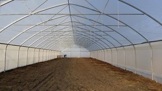 VIDEO - Fermierii nu se mai pl&acirc;ng. Formează cooperative