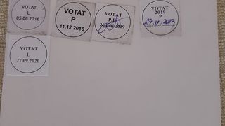 fraudă la alegerile locale 2020