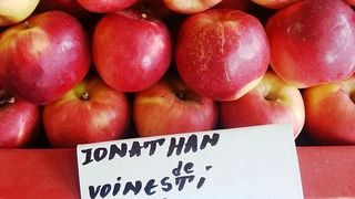 VIDEO - Vremea a distrus merele. Prețuri mai mari cu 70%