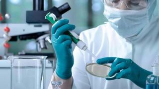 Bilanț coronavirus, 1 octombrie. A doua zi cu peste 2000 de cazuri noi de COVID, e tot mai aglomerat la ATI