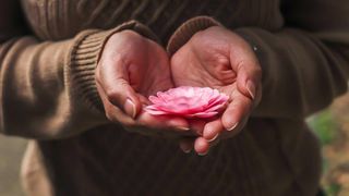 VIDEO - Frig și dezinfectanți. Pielea are nevoie de hidratare profundă