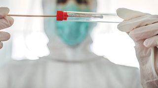 jucătorii naționalei covid 19