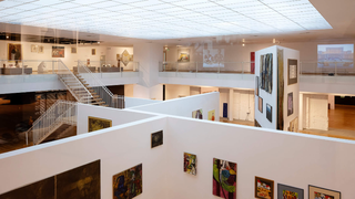 Veste bună pentru români. Ministrul Culturii: ”Muzeele și bibliotecile rămân deschise”