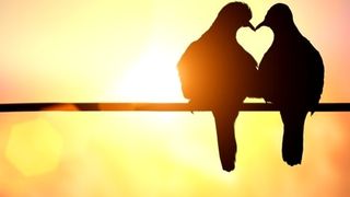 Mesaje de bună dimineața noi, varianta actualizată pentru 2021