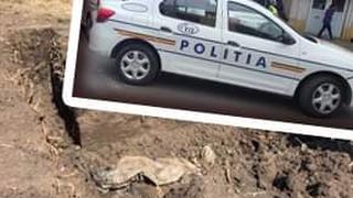 VIDEO - Mamă ucisă, descoperire macabră. Fiul, suspect