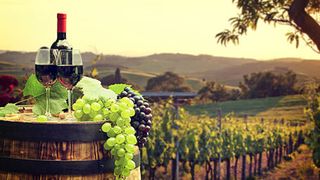 VIDEO - Vin nobil, produs în Ardeal. Atmosferă de poveste