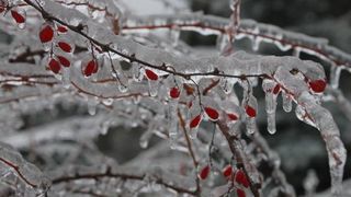 Ce este ploaia înghețată, fenomenul meteo care e din ce în ce mai prezent în România