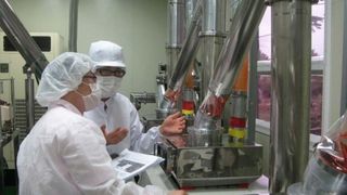 ANSVSA a călcat strâmb. Corpul de control al premierului a stabilit că ANSVSA a nu a respectat Programul naţional de supraveghere, prevenire şi control al pestei porcine africane