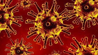 arafat luptă pierdută covid