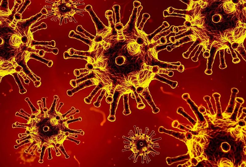 arafat luptă pierdută covid