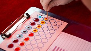 Care sunt, de fapt, cele mai rare grupe de sânge