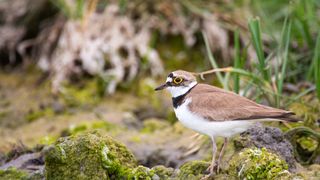 Toamna &icirc;n Delta Dunării &ndash; activități pentru &icirc;ntreaga familie