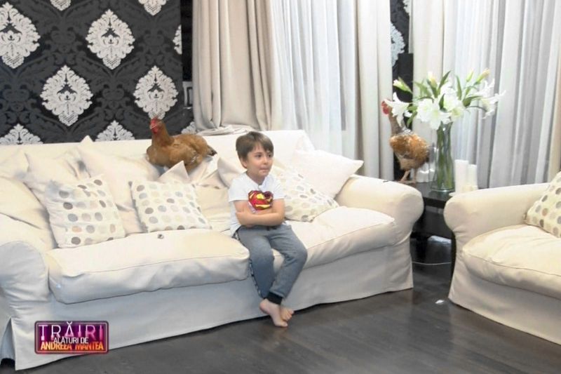 casa andreei mantea de la kanal d