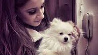 VIDEO - Ana Maria Barnoschi, &icirc;ntre Roata Norocului și cei trei căței