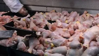 VIDEO - Carnea de pui, cea mai ieftină, plină de superbacterii?