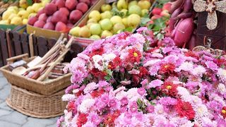 T&acirc;rgul Moşilor de Toamnă va avea loc la Muzeul Naţional al Ţăranului Rom&acirc;n din Bucureşti