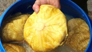 Varză murată. C&acirc;nd se pune, de fapt, varza la murat?