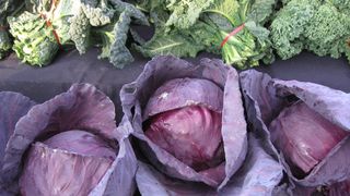 VIDEO - Varza, o legumă plină de beneficii pentru sănătate