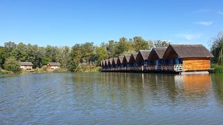 roventura delta siretului emisiune kanal d